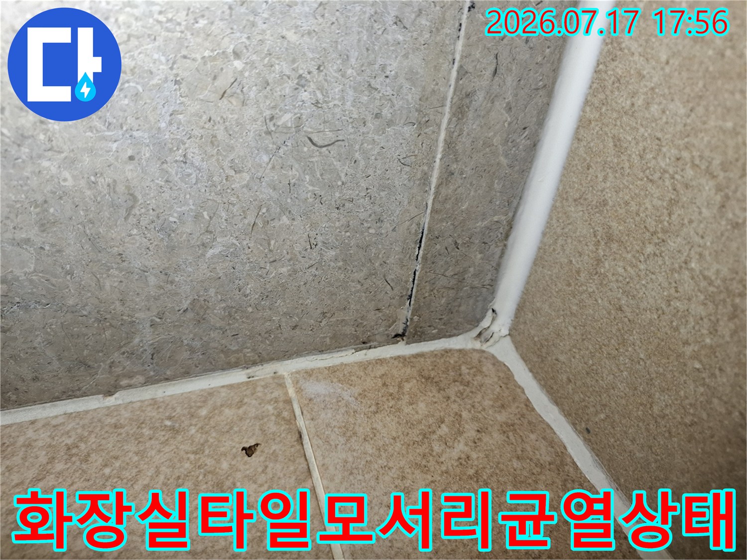 욕실-벽면과-바닥의-경계선에-생긴-백시멘트-줄눈의-갈라짐과-오염-현상