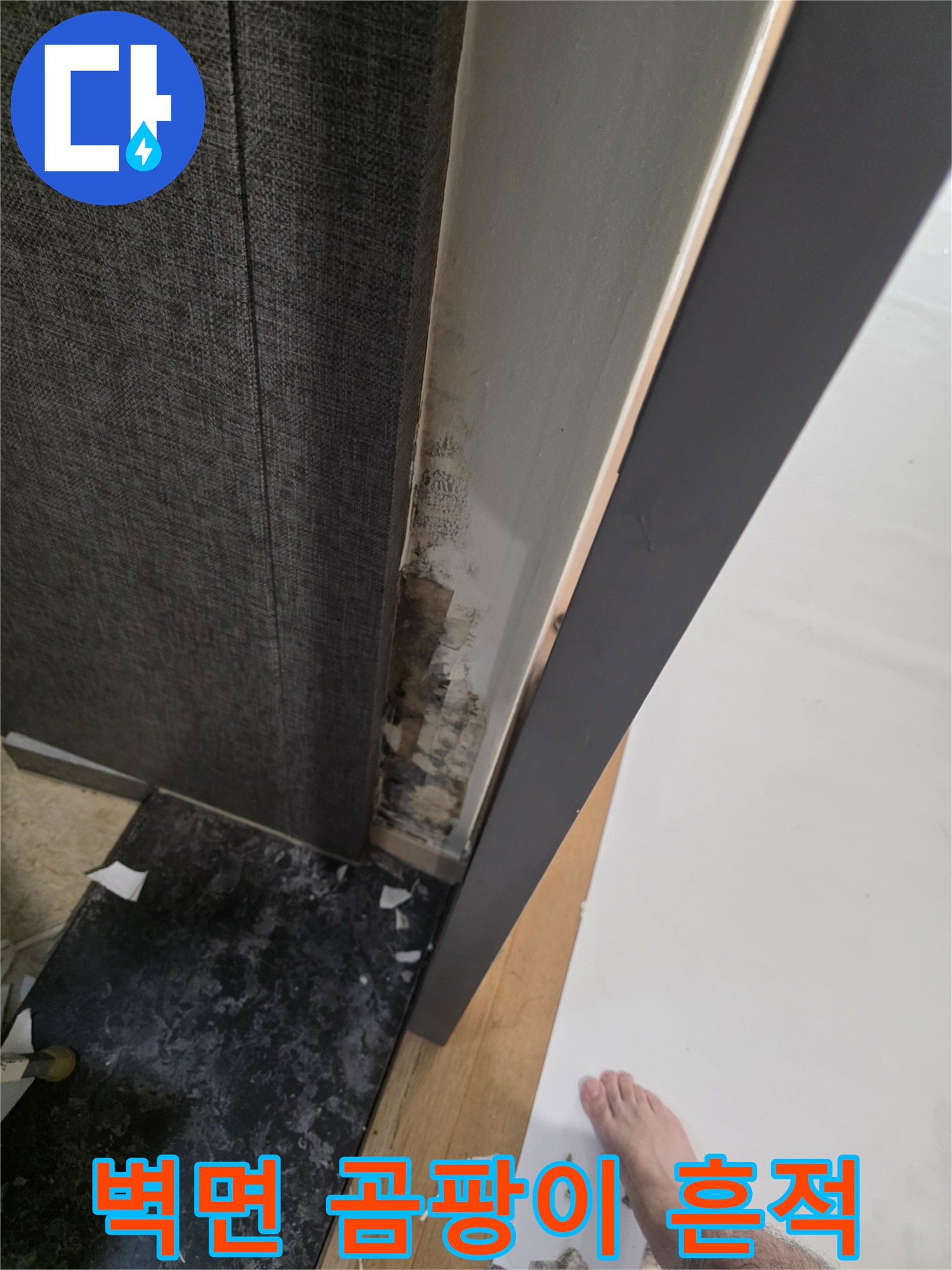 용인 수지구 거실 벽면의 곰팡이와 물샘 흔적 사진