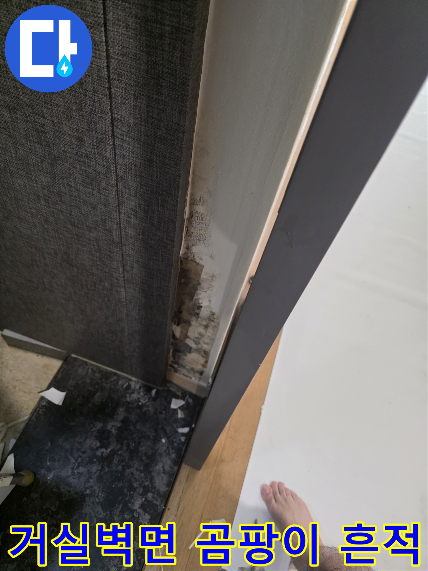 용인 수지구 아파트-거실 벽면 하단부의 곰팡이와 습기 침투 흔적