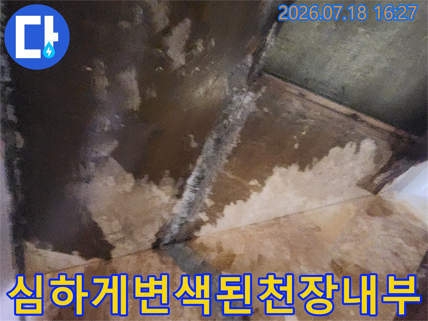 누수로 인해 습기가 차고 곰팡이가 번진 천장의 오염된 표면