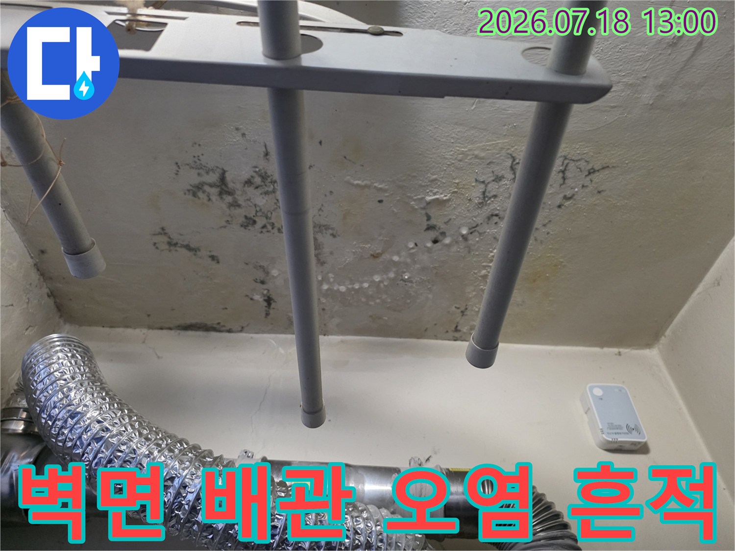 주방 벽면에 설치된 회색 배관과 그 주변으로 퍼진 검은색 곰팡이 및 물 얼룩 사진