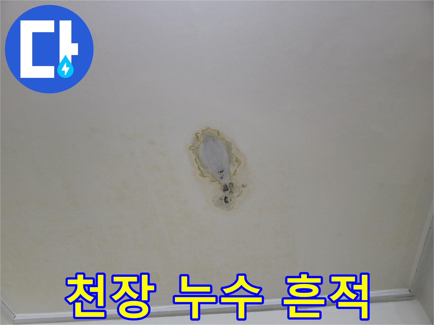 아파트-천장-중앙에-발생한-누수-얼룩-상태