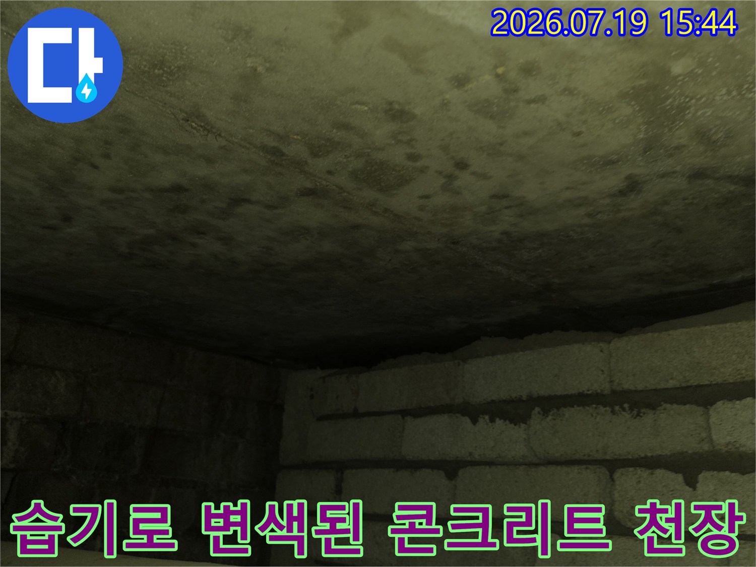 물-침투로-인해-어둡게-얼룩지고-곰팡이가-생긴-화장실-천장의-콘크리트-슬래브-면