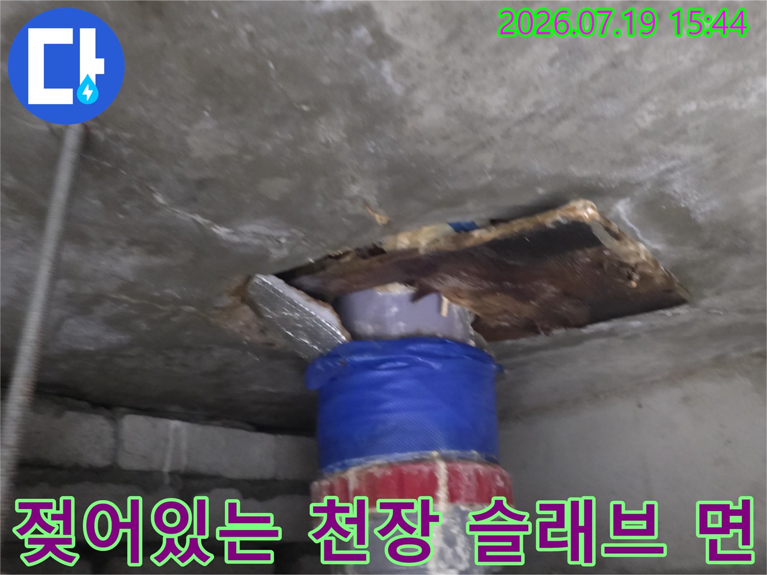 물기로 인해 짙은 갈색과 회색으로 변한 콘크리트 천장과 파란색 하수배관의 모습