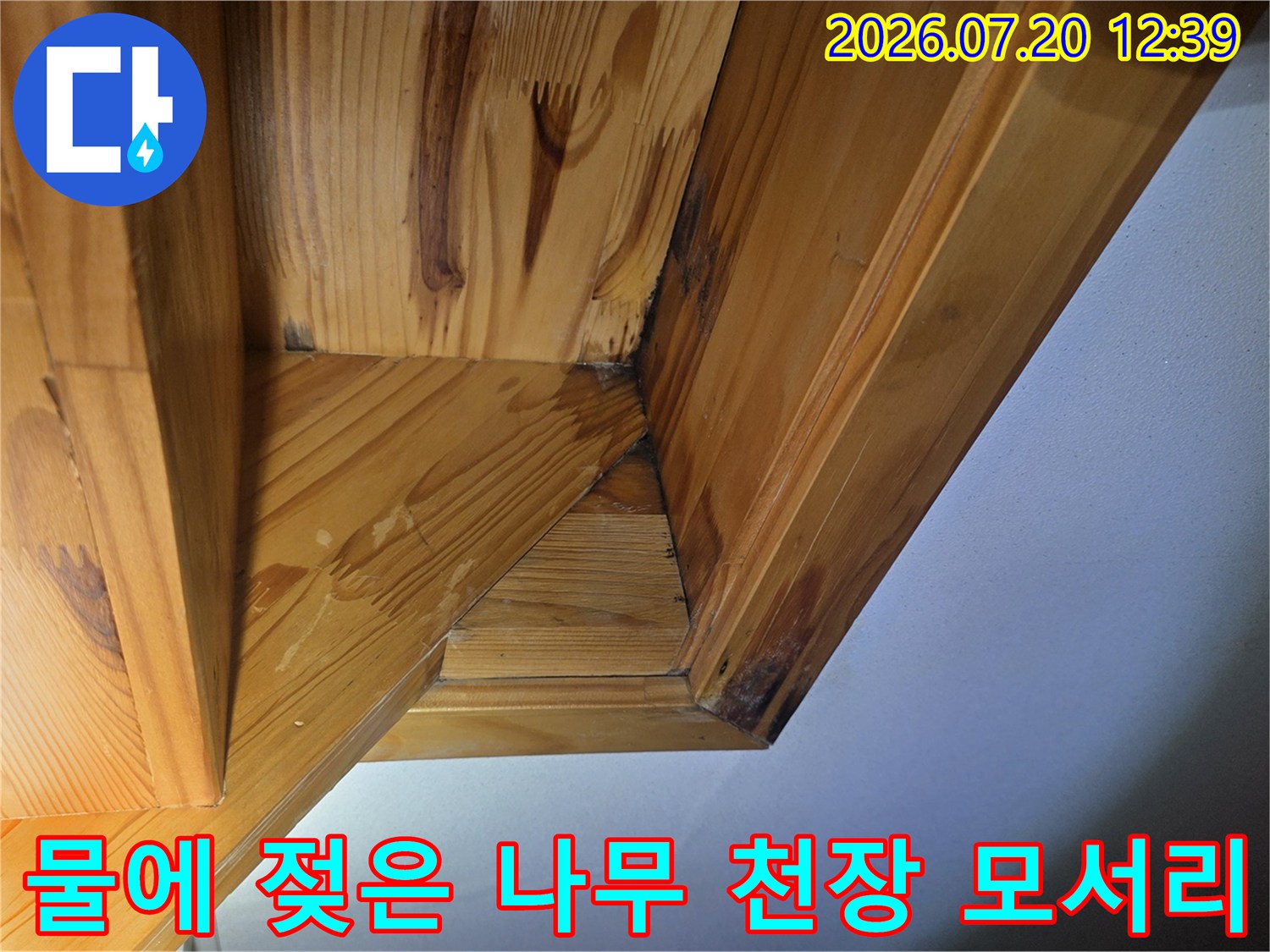 천장의 목재 구조물이 만나는 지점에 수분이 침투하여 검게 변색된 모습의 사진