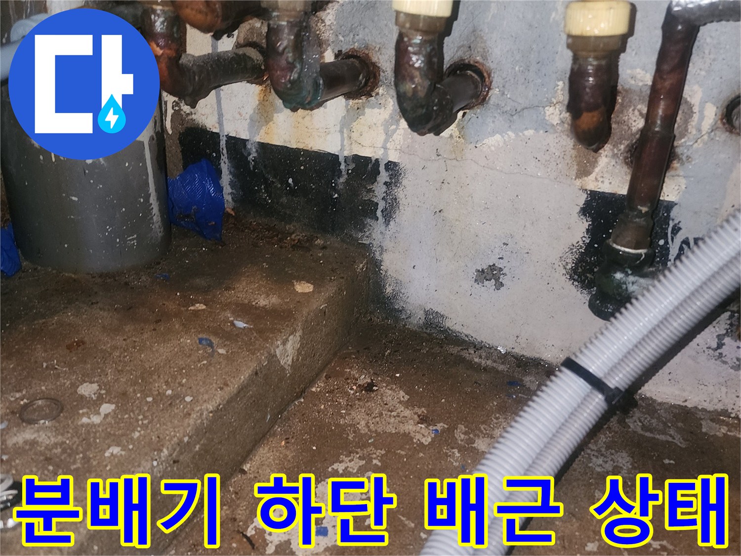 배관 연결 부위의 습기와 변색된 벽면 모습