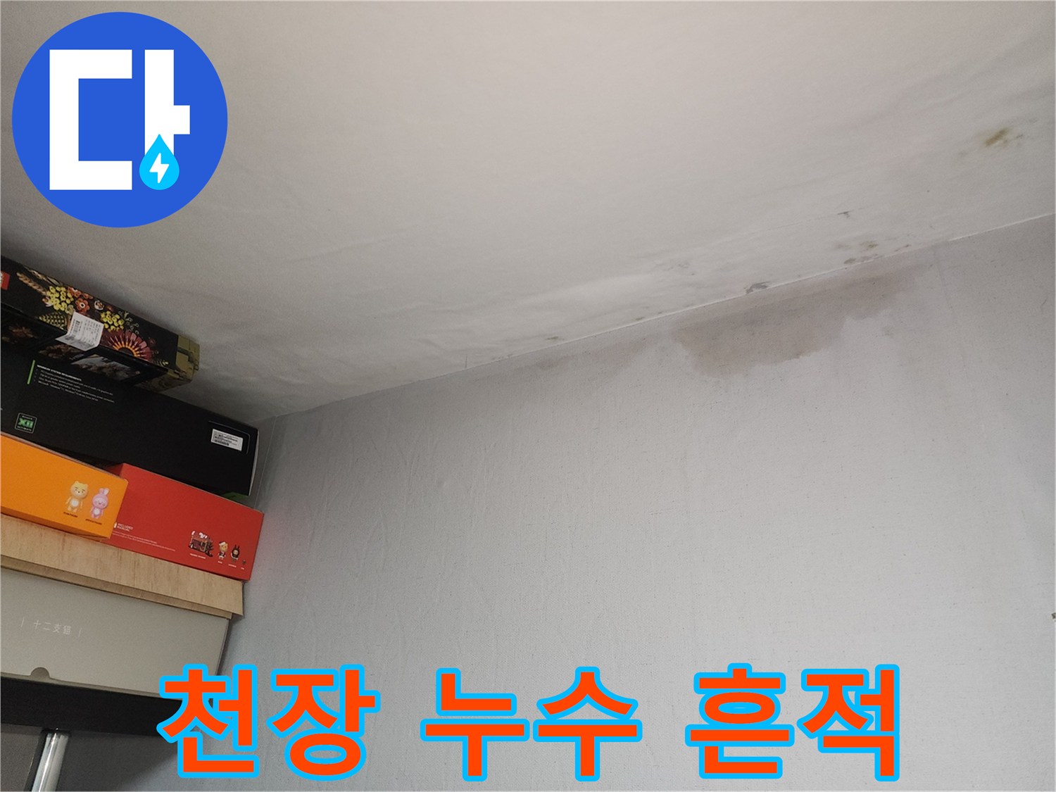 천장 구석 부분에 번진 젖은 물자국과 얼룩