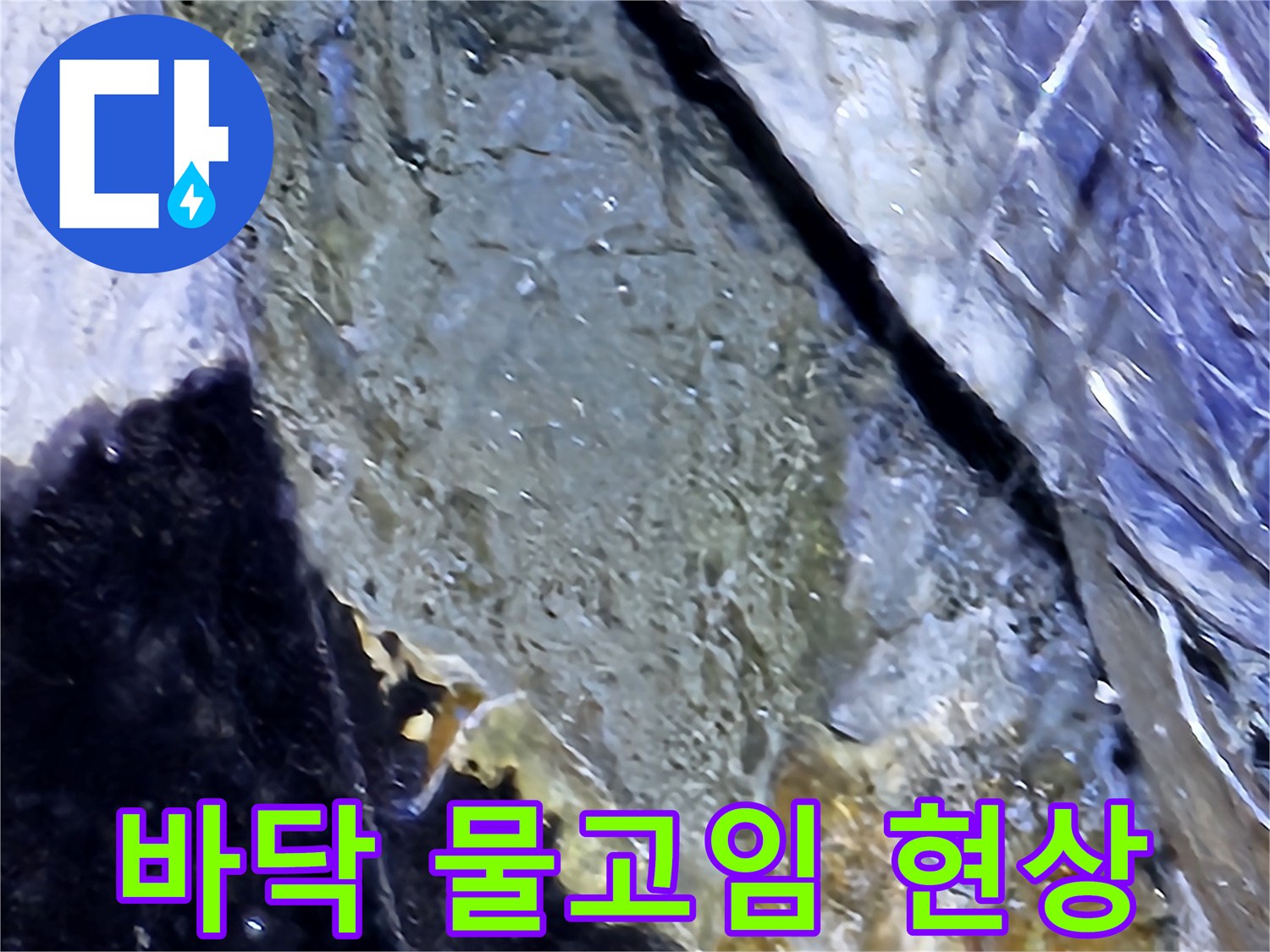 성남-분당-지하주차장-바닥-물고임-현상-사진