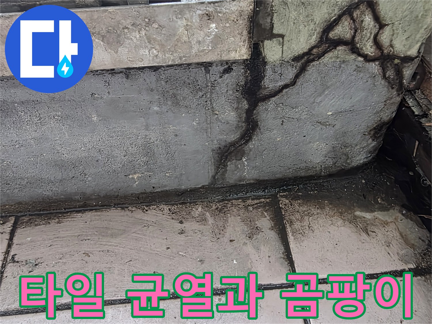 베란다-타일-틈새-균열로-발생한-곰팡이-흔적