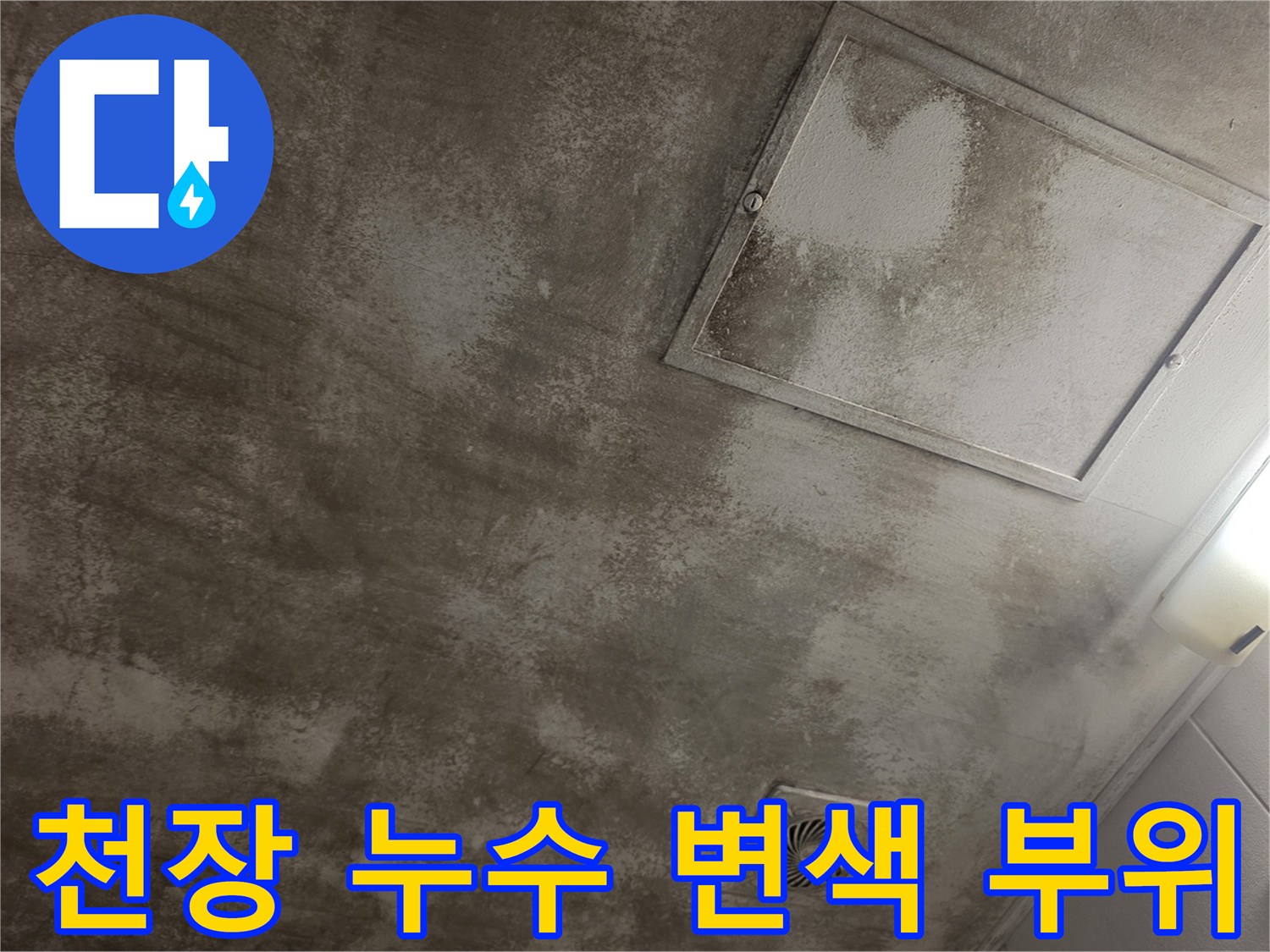 마포구 현장-천장 점검구 주변-누수 얼룩 확인