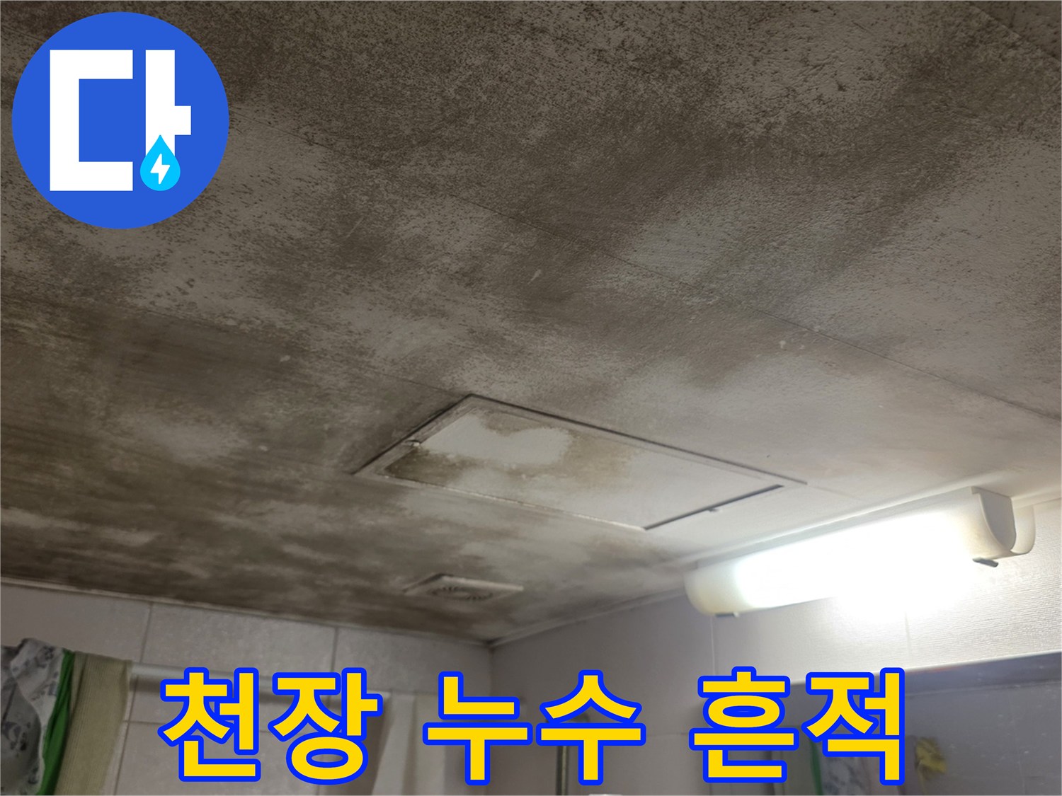 젖은 천장면-누수로 인해 넓게 번진 물자국