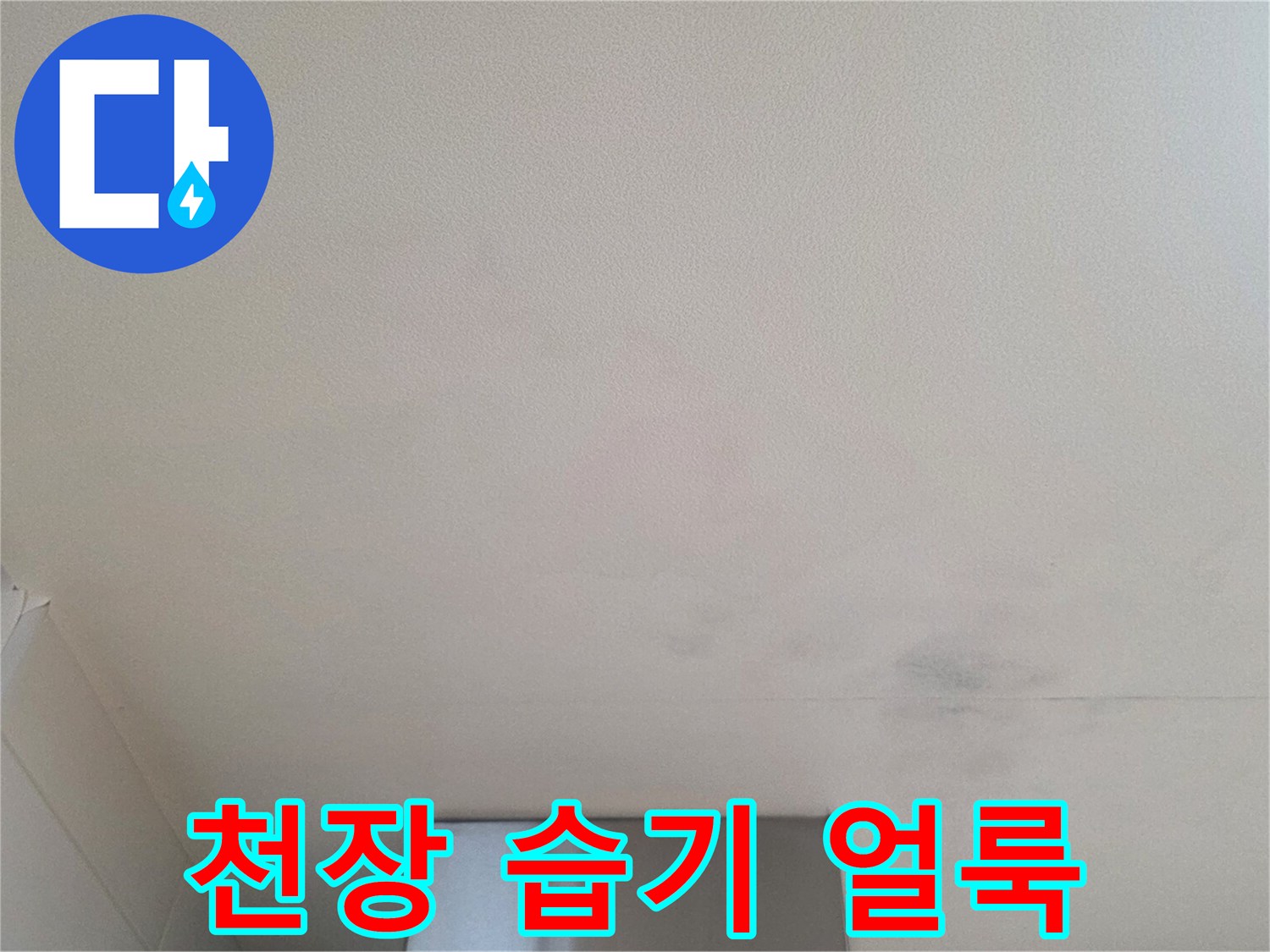 천장 도배지 표면에 나타난 누수로 인한 변색 부위