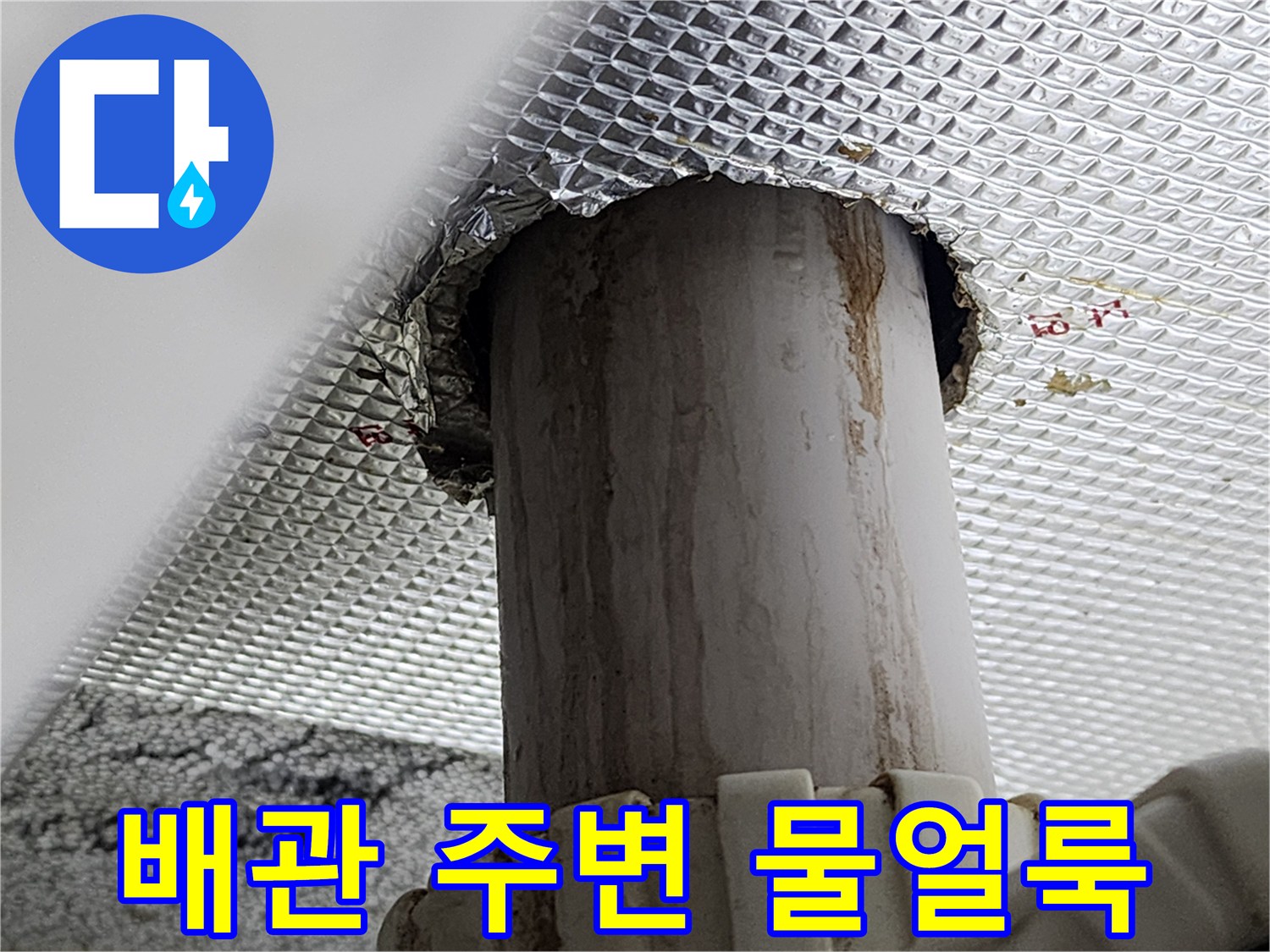 천장재 사이로 노출된 오염된 배관 모습