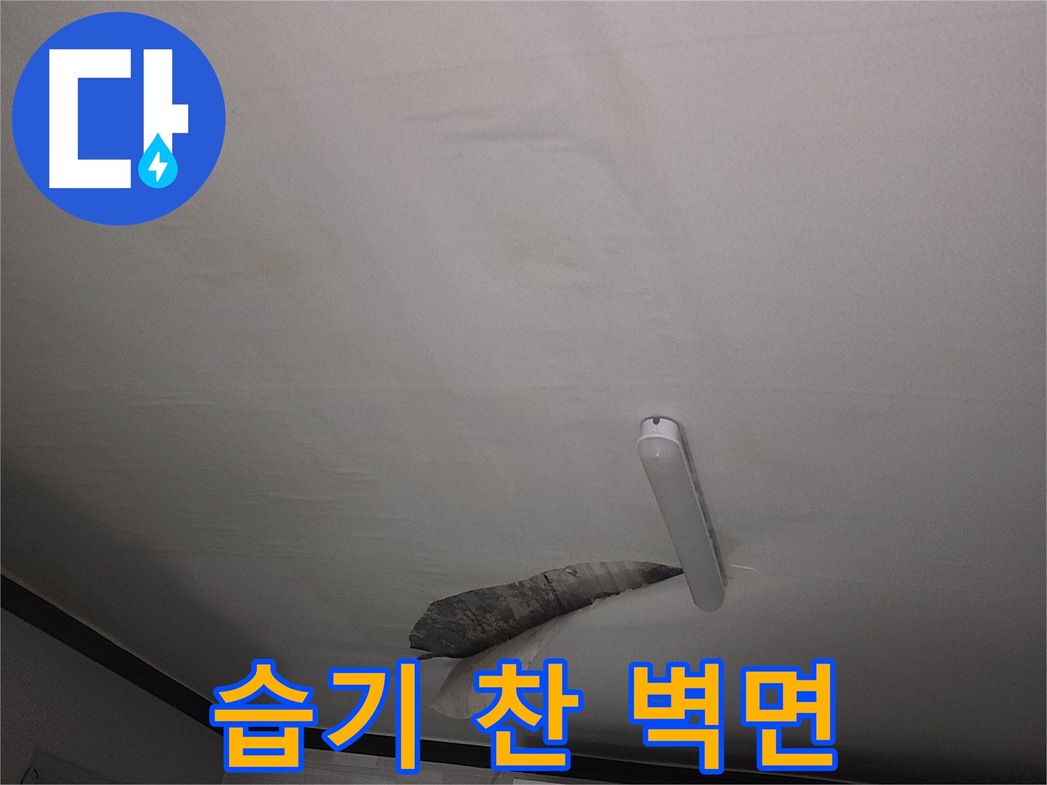 물기가 스며든 천장 부근의 모습