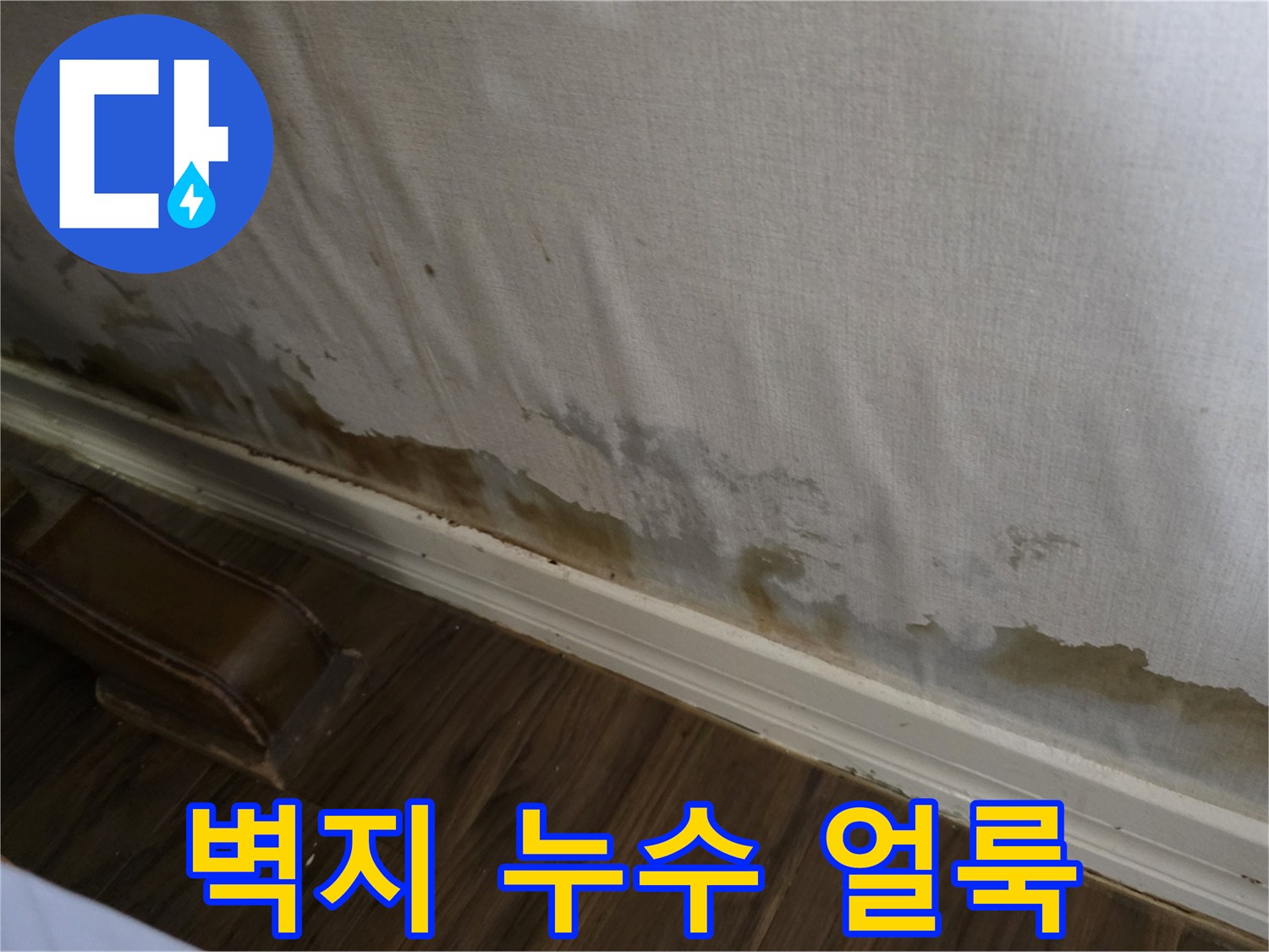 성북구 정릉동 빌라 벽면의 누수 흔적과 곰팡이 발생 상태