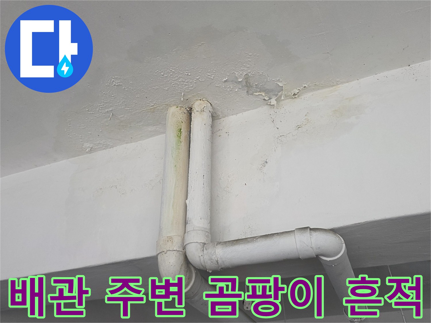 천장 배관 연결부를 따라 번진 곰팡이와 습기 얼룩