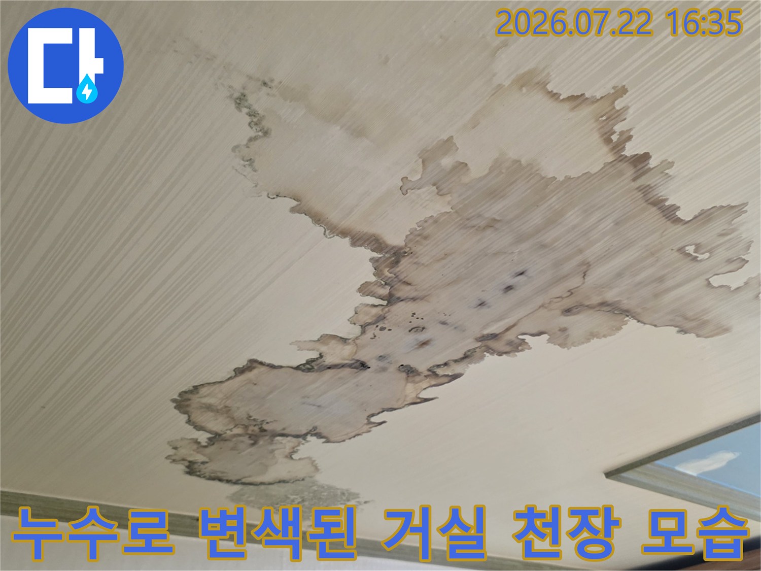 흰색 천장지에 갈색과 검은색의 누수 얼룩이 불규칙하게 퍼져 있는 사진