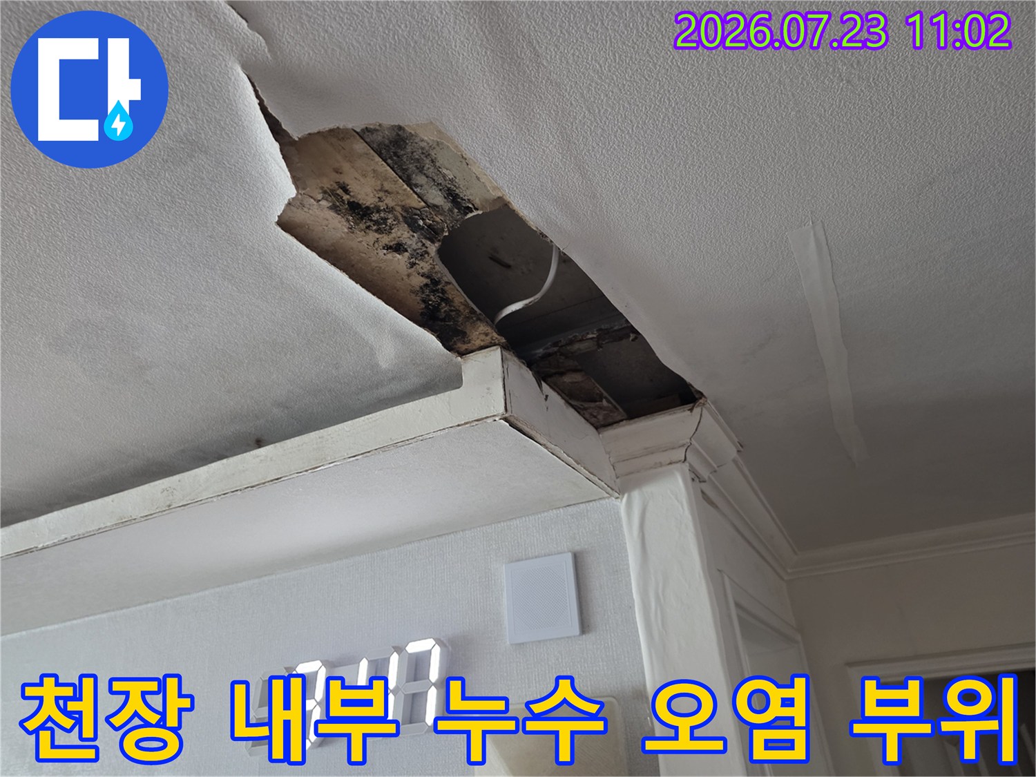 빗물 유입으로 인해 곰팡이가 생기고 변색된 거실 천장 내부 자재-사진
