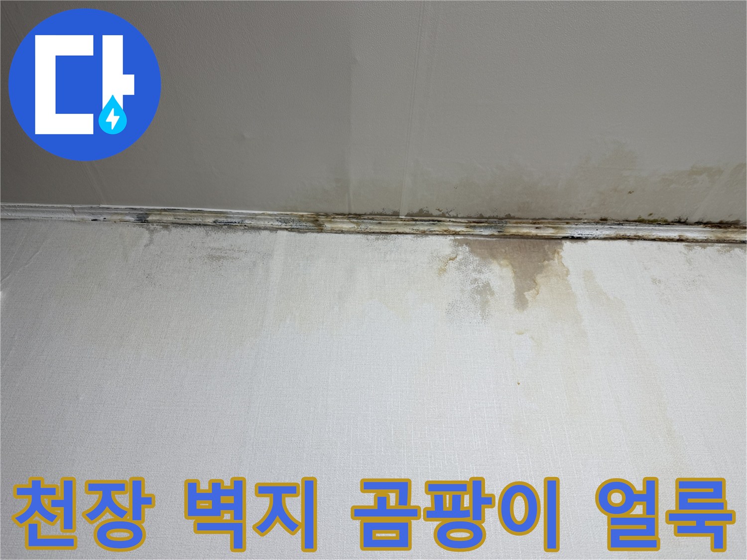 은평구 현장-주방 천장과 벽면 경계 부위에 발생한 곰팡이 및 습기 흔적