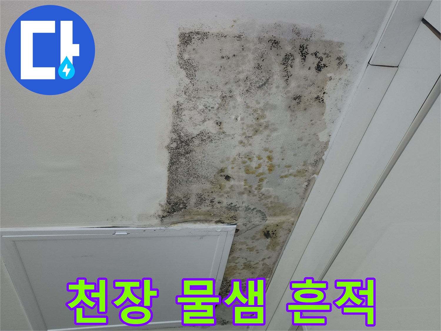 누수로-오염된-천장-벽면의-곰팡이와-얼룩