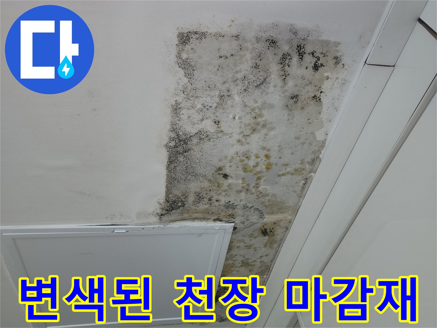 물샘 흔적-곰팡이와 얼룩이 발생한 천장 내부 부위