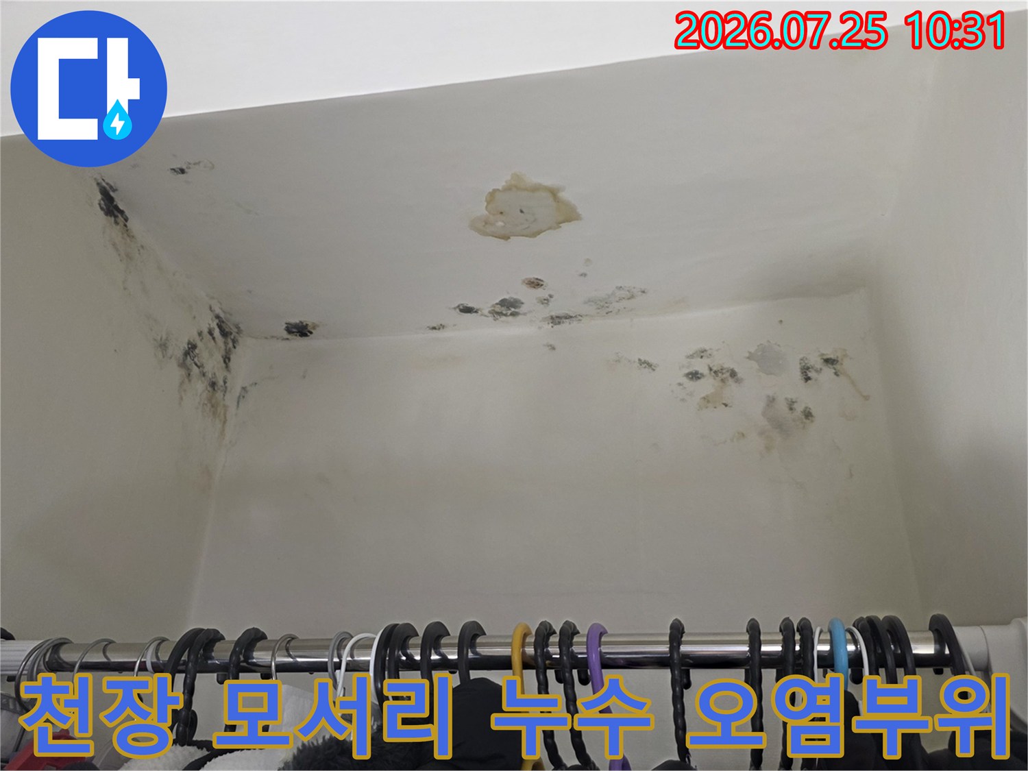흰색 천장 마감재 위에 형성된 갈색과 검은색의 누수 얼룩-곰팡이