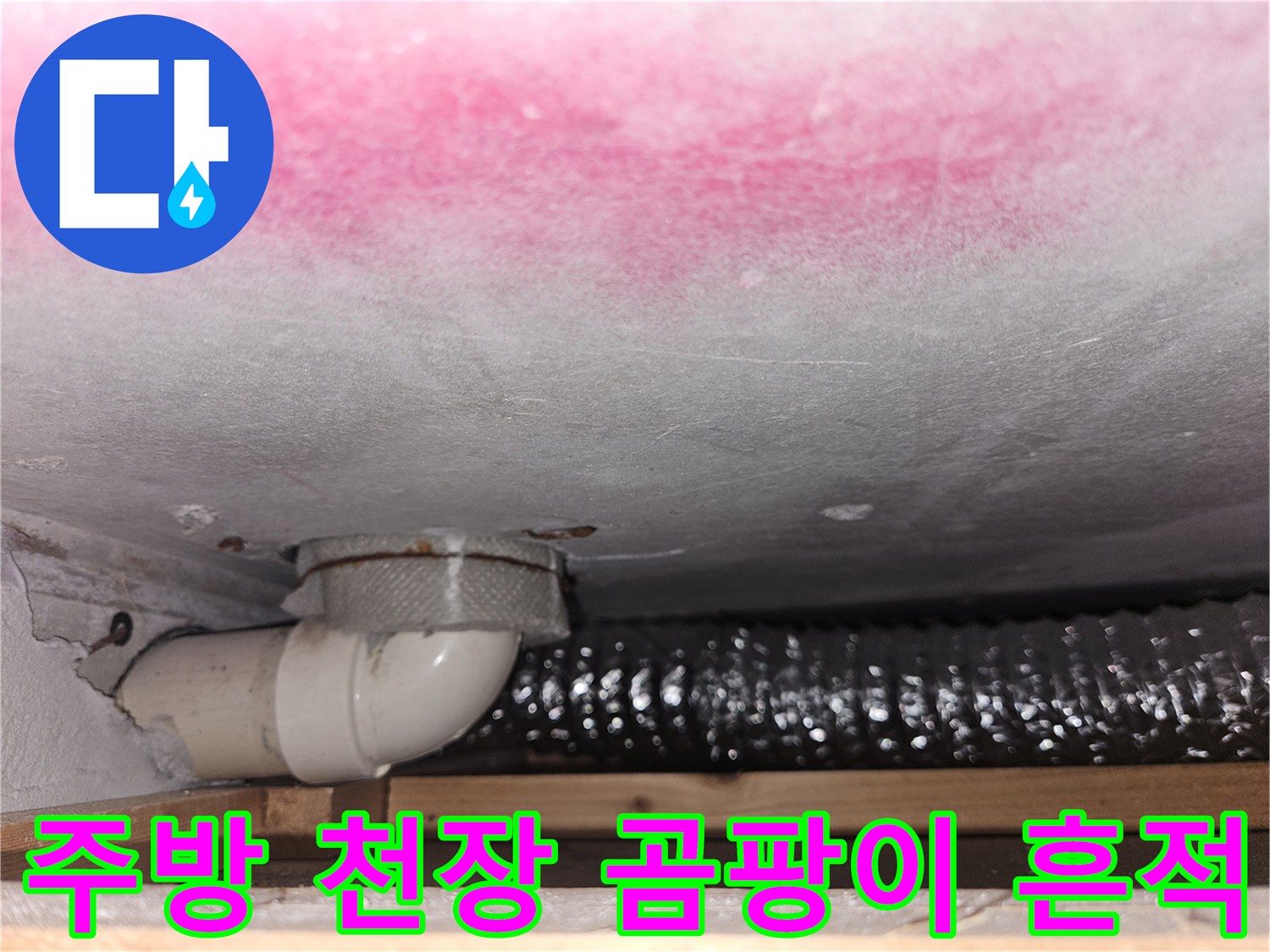 당진 읍내동 현장의 주방 천장 상단에 넓게 퍼진 분홍색 곰팡이와 배수관 모습