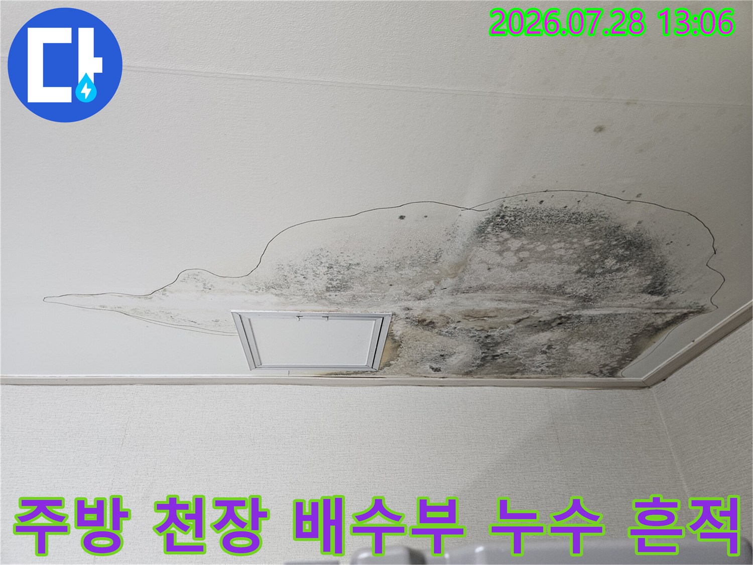 상단 배수라인 연결 부위 불량으로 발생한 하부 주방 천장의 곰팡이 및 얼룩 현장