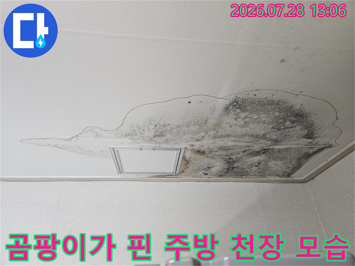 습기로 인해 부식되고 변색된 조명 주변 천장 마감재