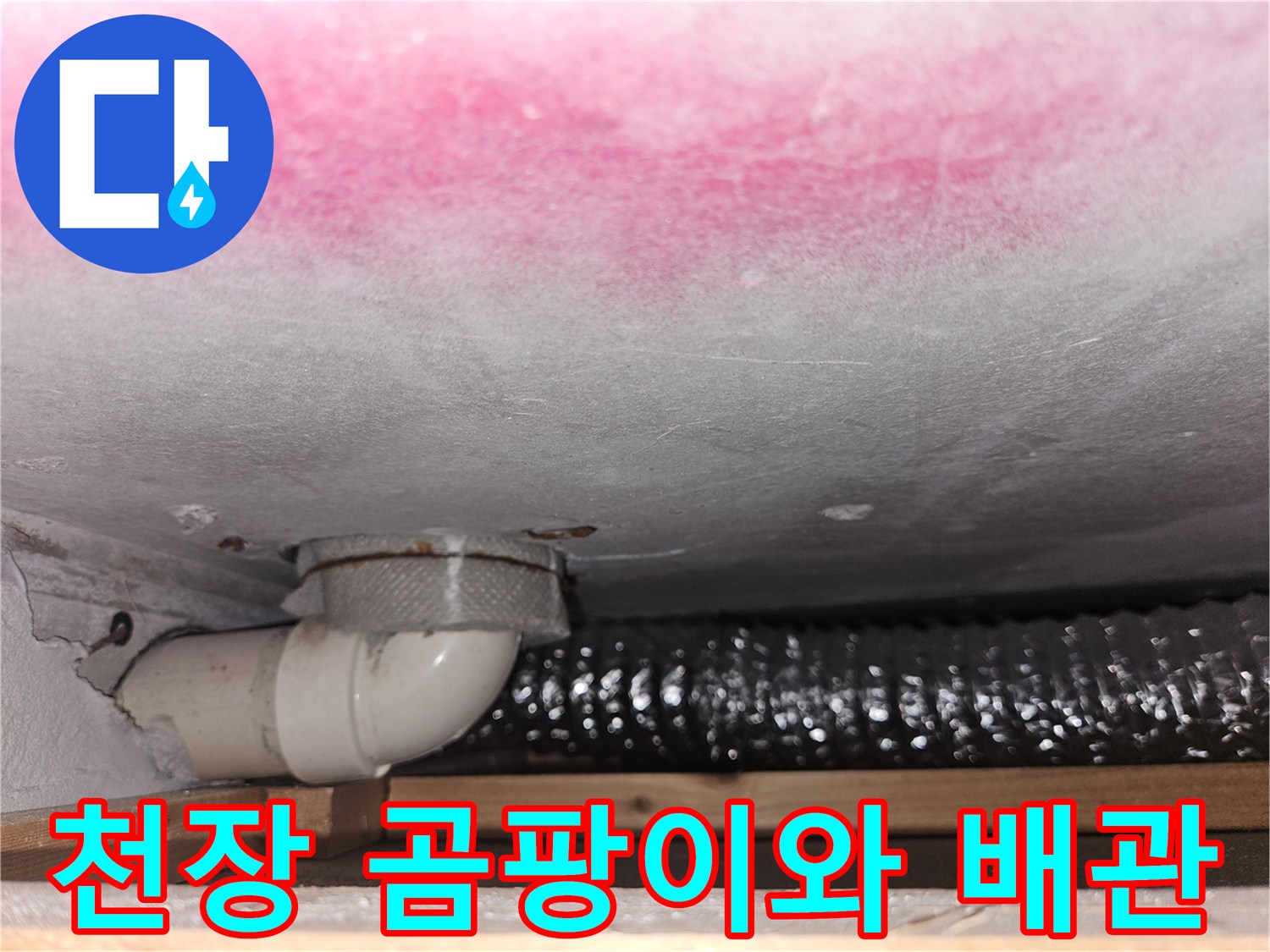 주방-천장-슬래브의-분홍색-곰팡이-흔적과-배수-배관-상태
