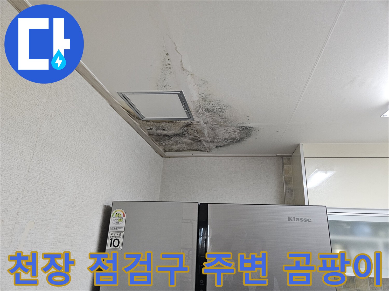 주방 천장 점검구 부근에 퍼진 곰팡이와 벽지 오염