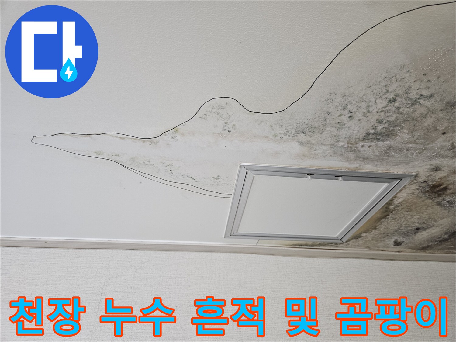주방 천장재에 발생한 광범위한 누수 자국과 곰팡이 오염