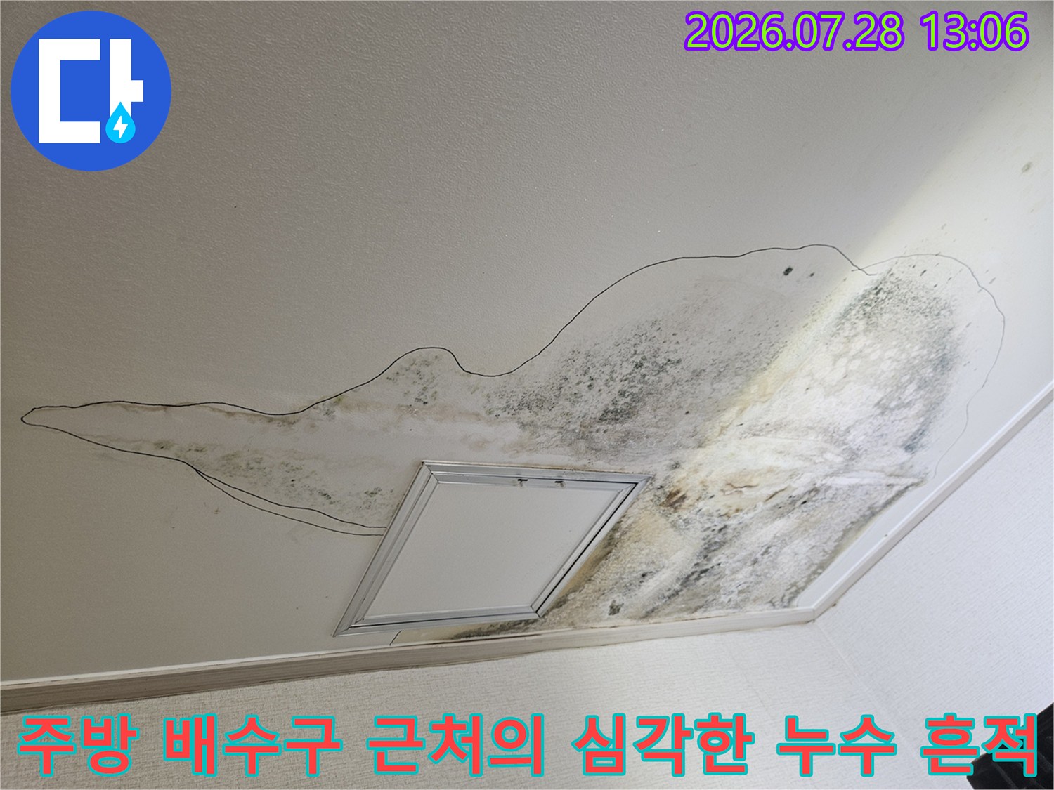 천장 마감재에 고착된 곰팡이와 물 흐름 자국