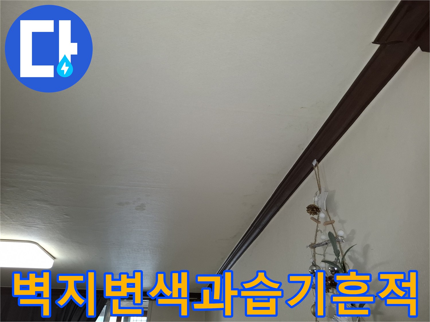 천장 벽면 전체에 나타난 불규칙한 습기 얼룩과 변색 부위