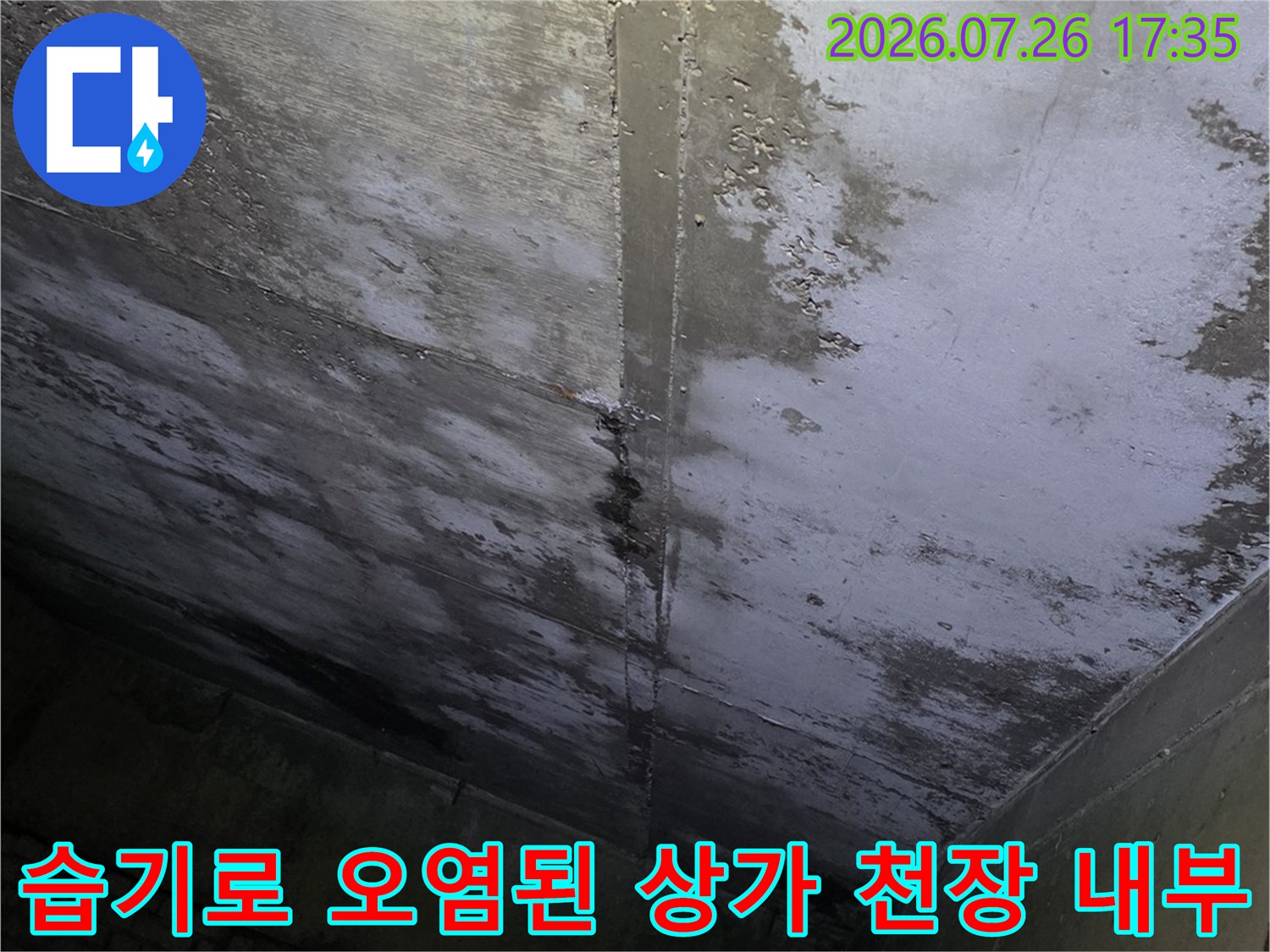 물기가 배어 나와 어둡게 변색되고 얼룩이 진 콘크리트 슬래브 천장 사진