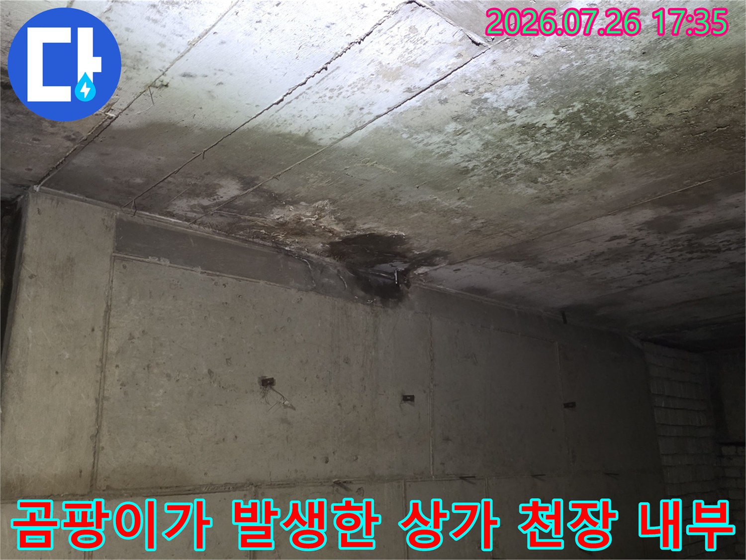 물샘으로 인해 변색되고 곰팡이가 핀-콘크리트 천장 슬래브 사진