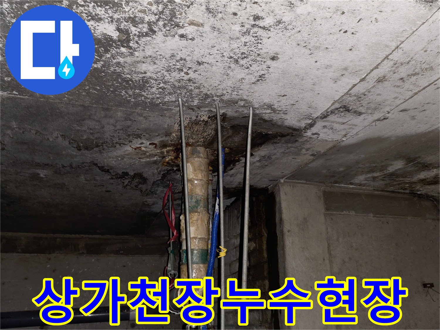 분당 수내동 상가 건물 천장 슬래브의 누수 흔적과 오염 상태