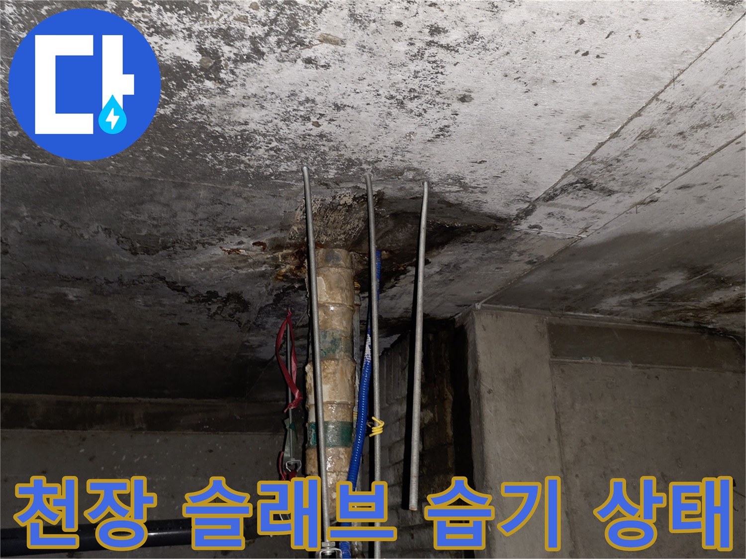 분당-수내층-배관-주변-슬래브-습기-및-오염-상태