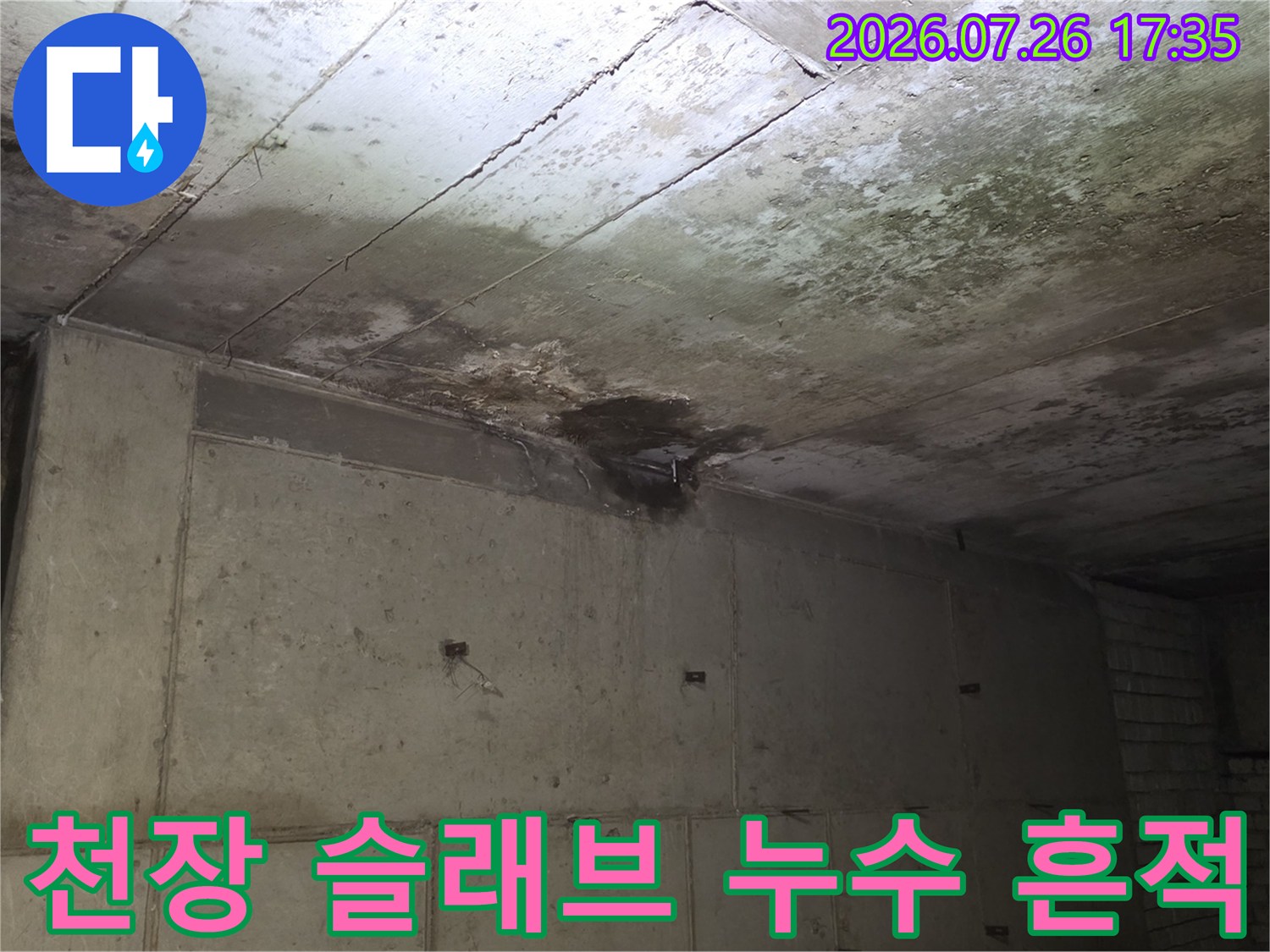 콘크리트-천장-슬래브에-물자국과-곰팡이가-피어있는-누수-현장-사진