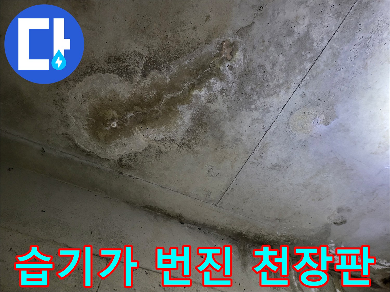천장 마감재 - 물샘으로 인해 젖은 얼룩 부위
