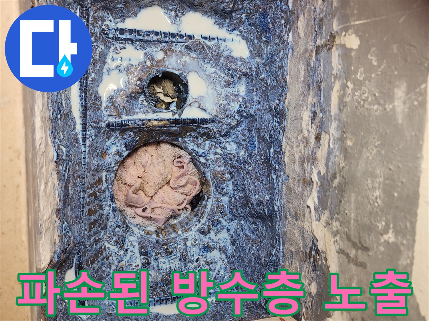 물샘-발생-지점인-배수관-주변-상태