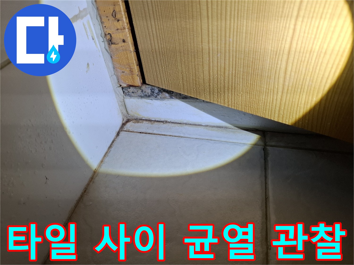 조명을-사용하여-타일-틈새의-물스며듬을-정밀-관찰