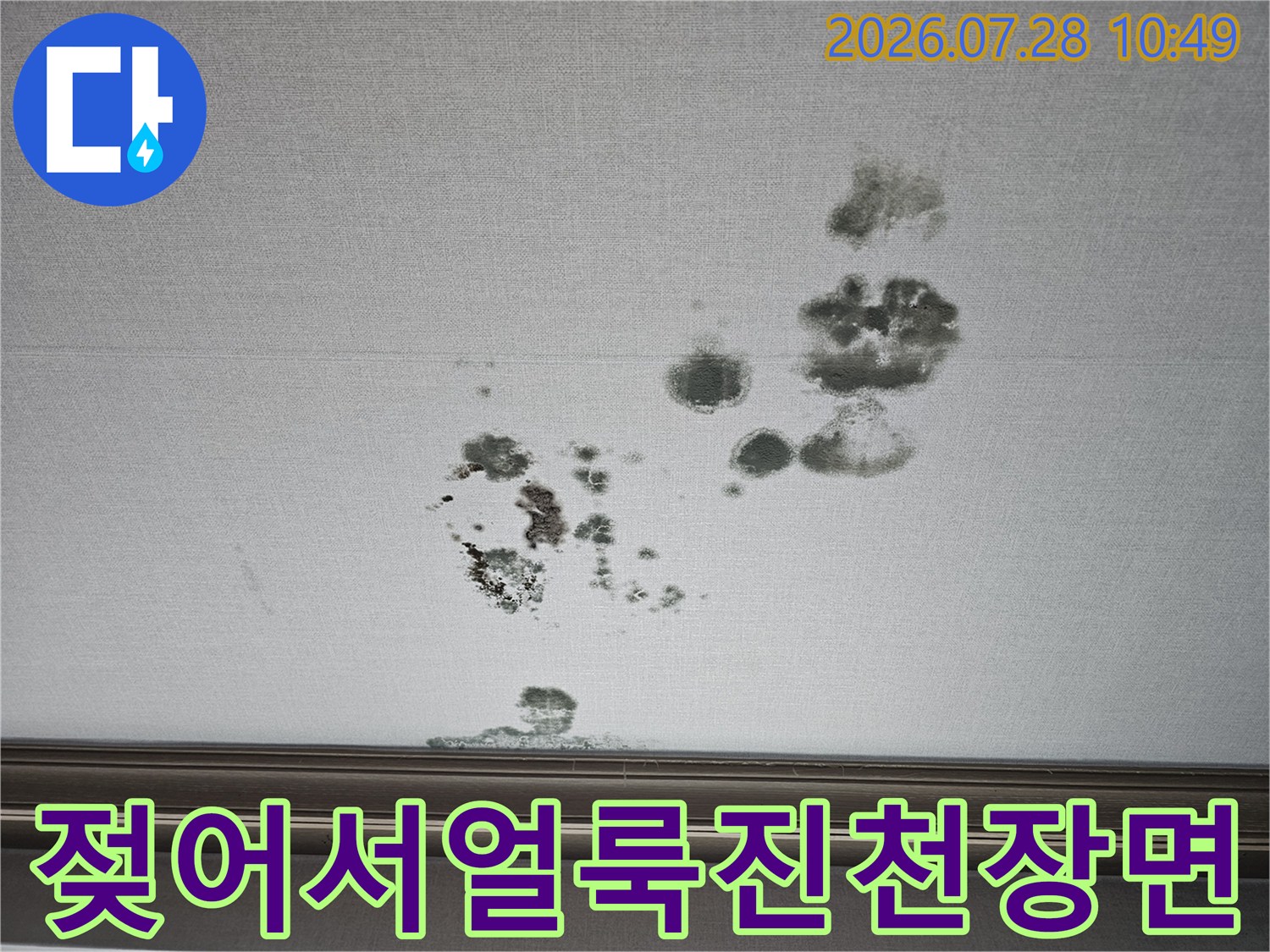 거실 천장재에 번져나간 물 자국과 오염 부위