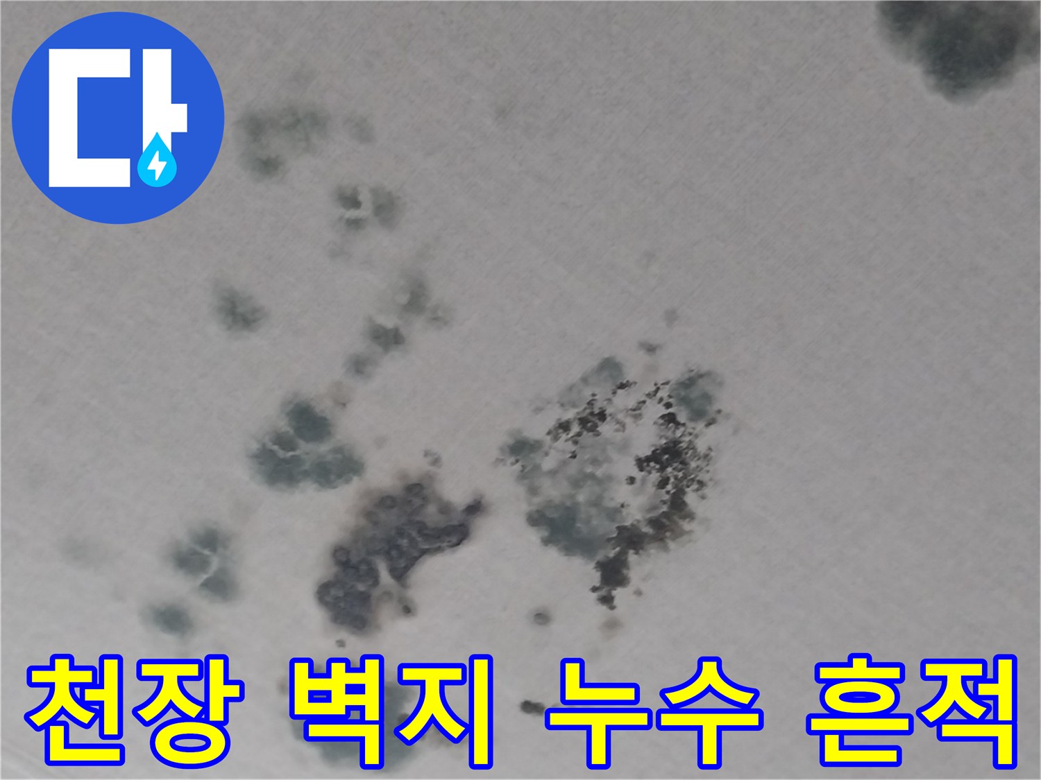 동탄 상가주택 내부-벽지에 번진 짙은 색의 누수 오염 부위