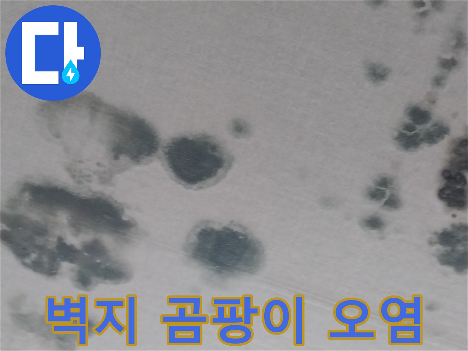 천장-벽면-물자국-및-곰팡이-번짐-현상