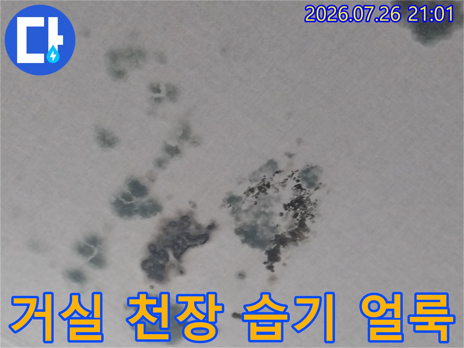 천장에 번진 수분 침투 흔적과 곰팡이 오염 부위
