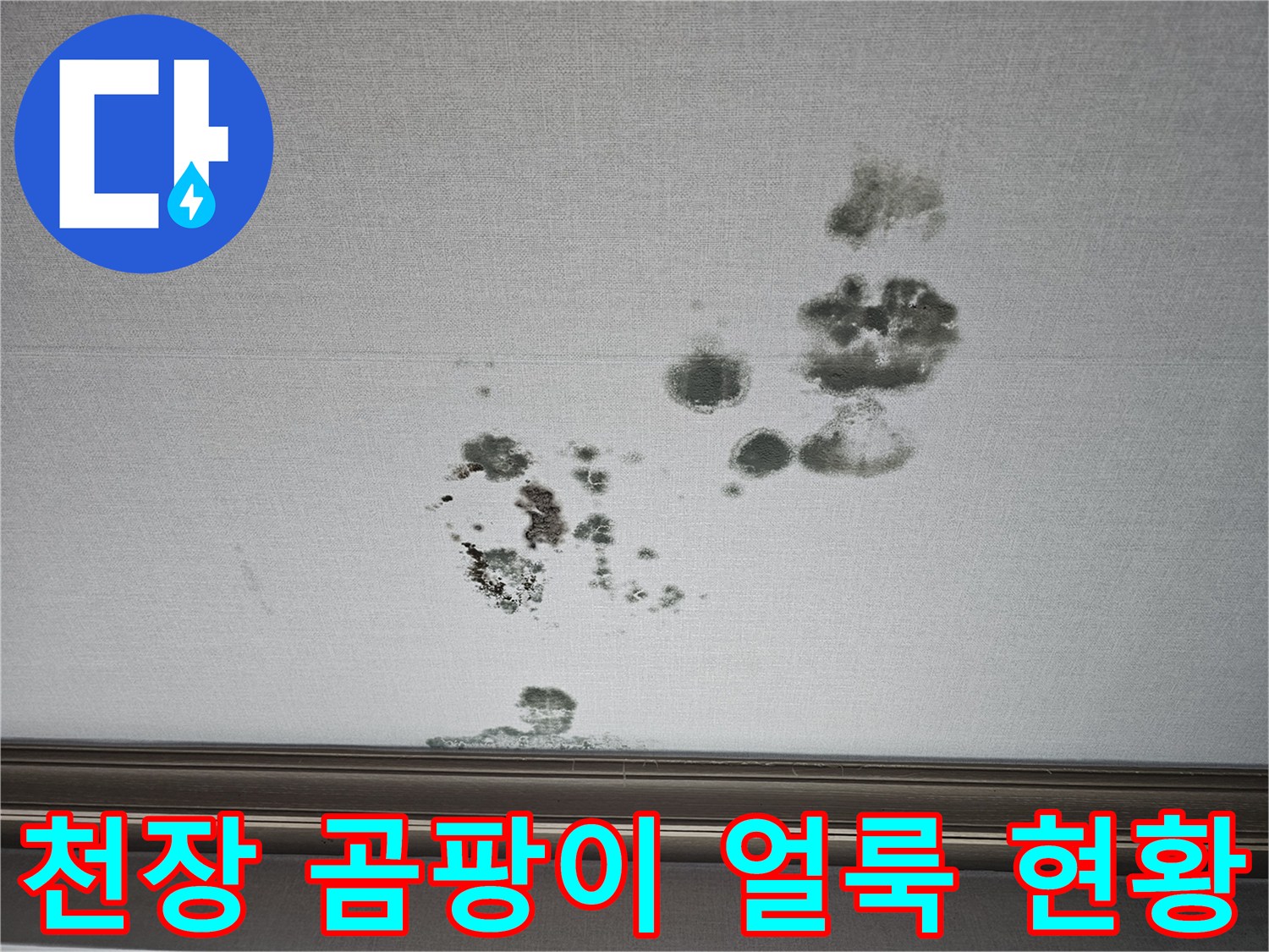 화성 동탄 상가주택-거실 천장 벽지에 발생한 누수 및 곰팡이 흔적