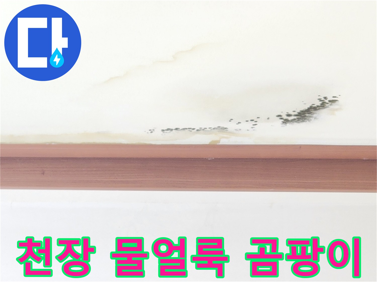 아랫집 거실 천장에 발생한 누런 물자국과 검은 곰팡이 상태