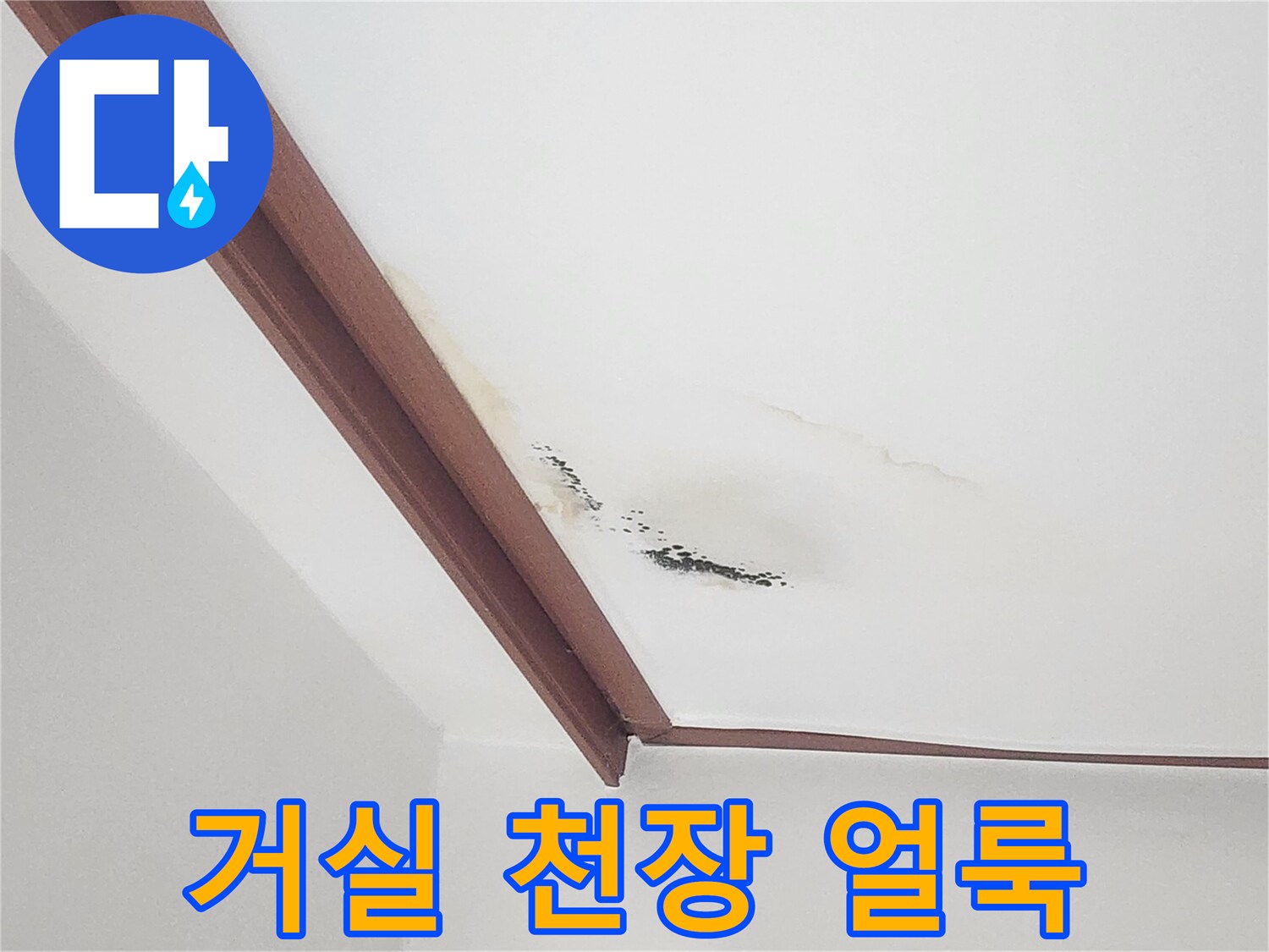 아랫집 거실 천장에 발생한 누런 물자국과 곰팡이 흔적