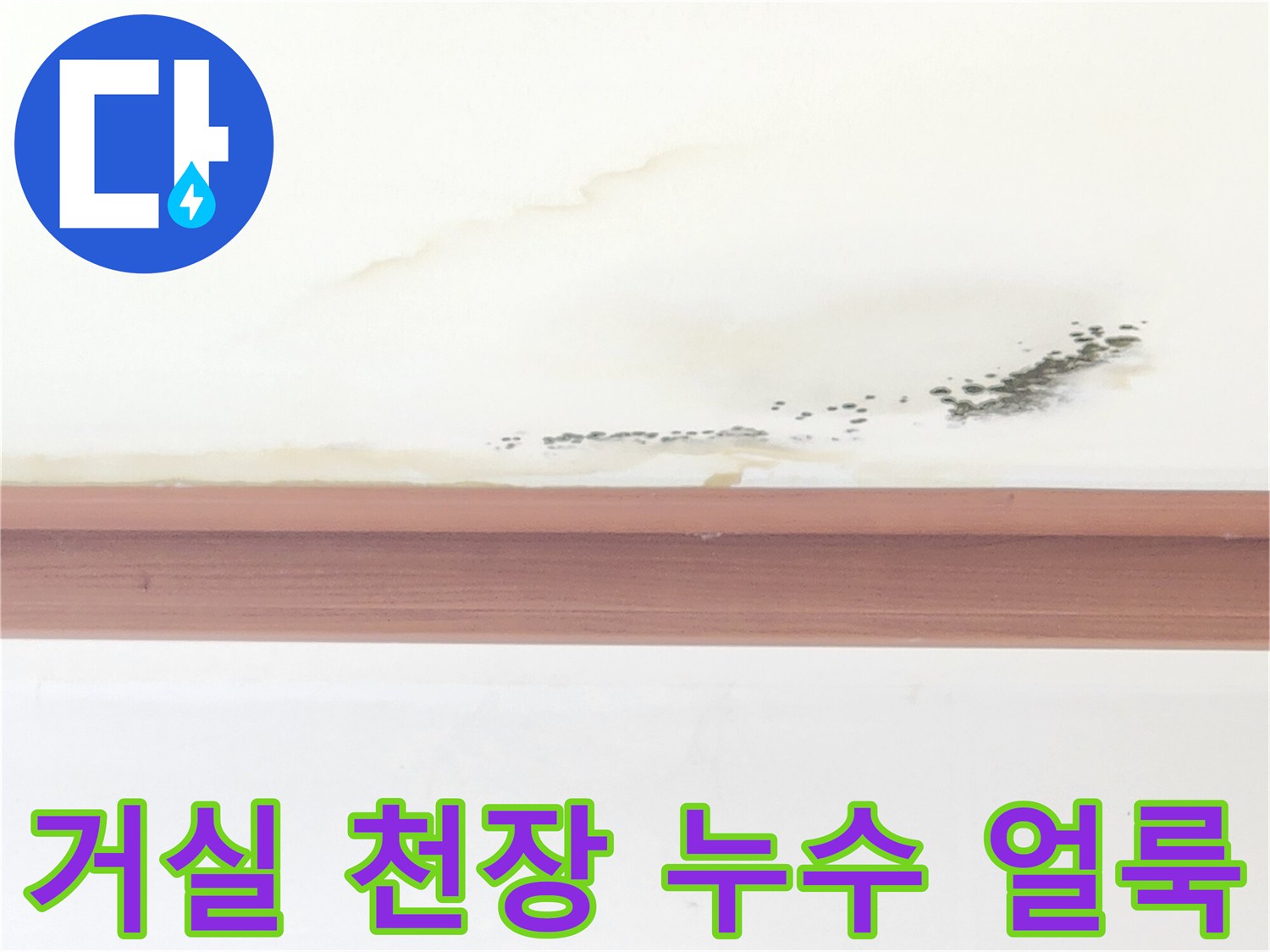 인천 중구 거실 천장 벽지에 생긴 누런 물얼룩과 곰팡이 흔적
